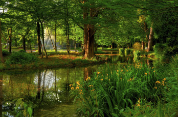 Картинка природа парк деревья цветы фонтаны