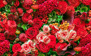 Картинка цветы букеты +композиции целозия георгины розы каллы бегонии