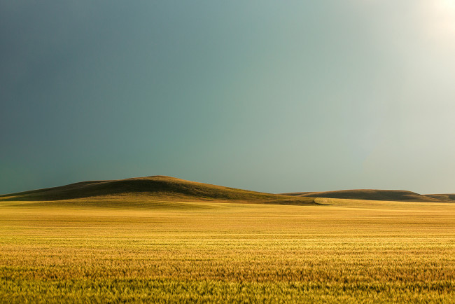 Обои картинки фото природа, поля, трава, солнце, холмы, поле