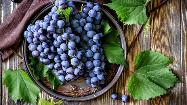 Обои картинки фото еда, виноград, ягоды, листья, грозди