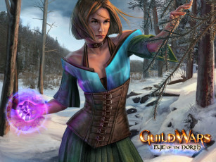 Картинка видео игры guild wars eye of the north