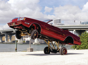 Картинка 1985 buick regal автомобили танцующая подвеска машина танцует бьюик гидравлическая