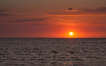 Картинка природа восходы закаты морской закат
