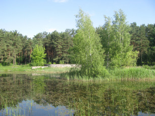 Картинка природа реки озера пруд деревья пейзаж