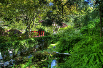 Картинка butchart gardens victoria канада природа парк