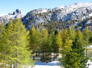 Картинка итальянские альпы природа горы деревья снег