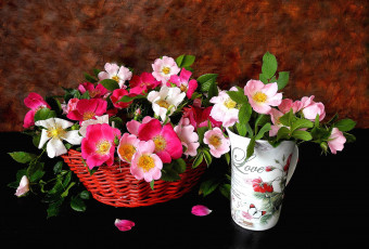 Картинка цветы шиповник корзинка чашка