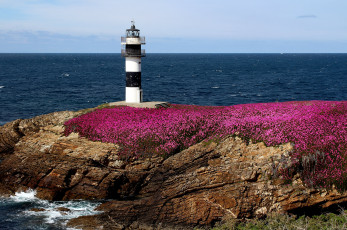 Картинка pancha island lighthouse galicia spain природа маяки скалы испания побережье бискайский залив ribadeo illa