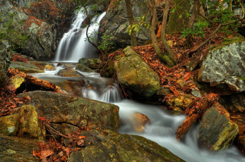 Картинка природа водопады листья поток