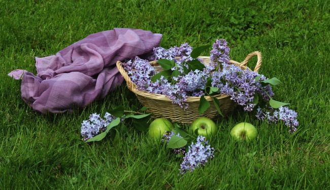Обои картинки фото цветы, сирень, платок, яблоки, корзина