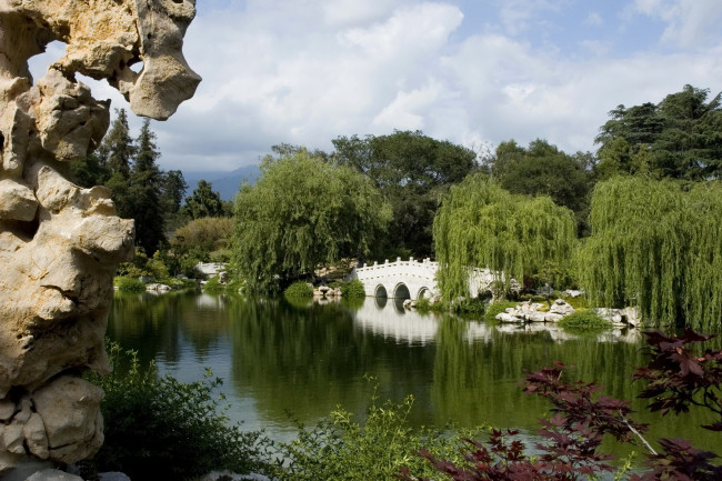 Обои картинки фото botanical, garden, san, marino, california, природа, парк, ботанический, сад, пруд, мостик