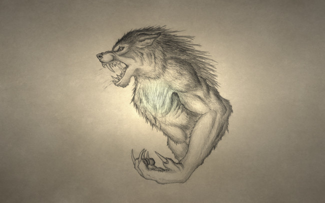 Обои картинки фото рисованные, минимализм, волк, рычит, werewolf, оборотень, wolf
