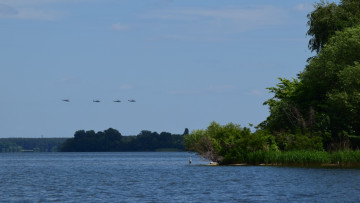 Картинка природа реки озера птица деревья вертолет река