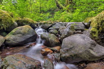 Картинка природа реки озера поток лес камни