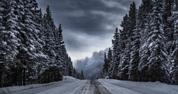 Картинка природа дороги горы деревья лес дорога зима