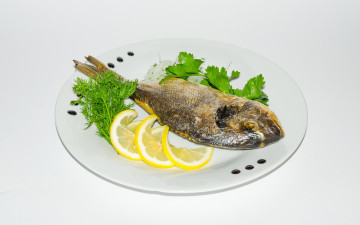 Картинка еда рыбные+блюда +с+морепродуктами рыба
