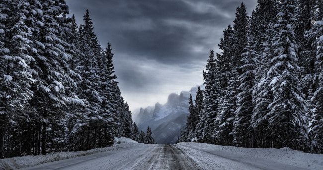 Обои картинки фото природа, дороги, горы, деревья, лес, дорога, зима