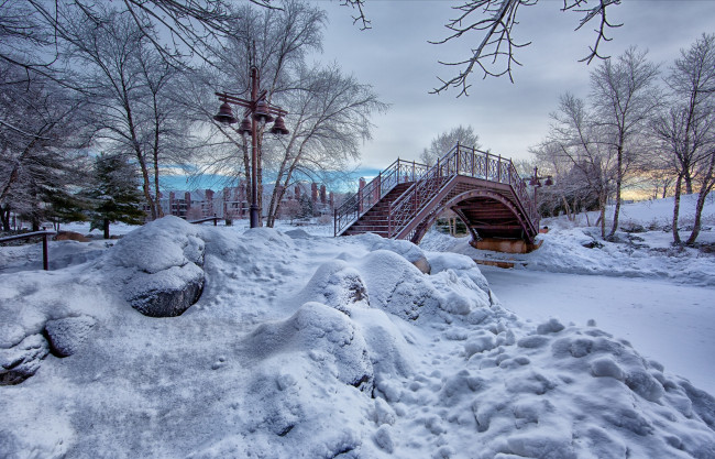 Обои картинки фото природа, парк, дерево, снег, зима