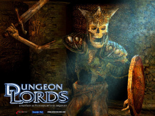 Картинка dungeon lords видео игры