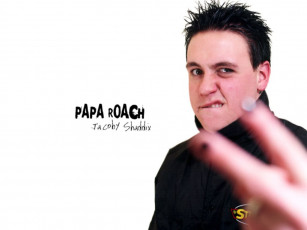 Картинка музыка papa roach