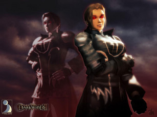 Картинка darkwind видео игры