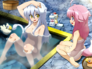 Картинка dog days аниме девушки басейн
