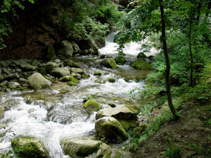 Картинка природа реки озера вода камни лес