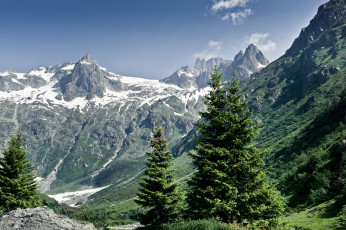Картинка природа горы switzerland alps ели