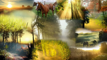 Картинка american country dawn животные лошади природа америка пейзажи