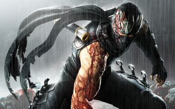 Картинка видео игры ninja gaiden 3 рю хаябуса синоби заражение кровь
