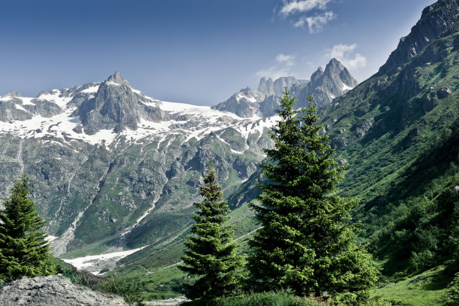 Обои картинки фото природа, горы, switzerland, alps, ели
