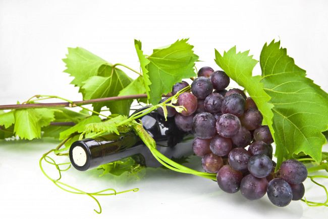 Обои картинки фото еда, виноград, фрукты, вино