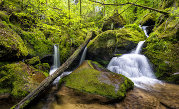 Картинка природа водопады мох поток лес камни