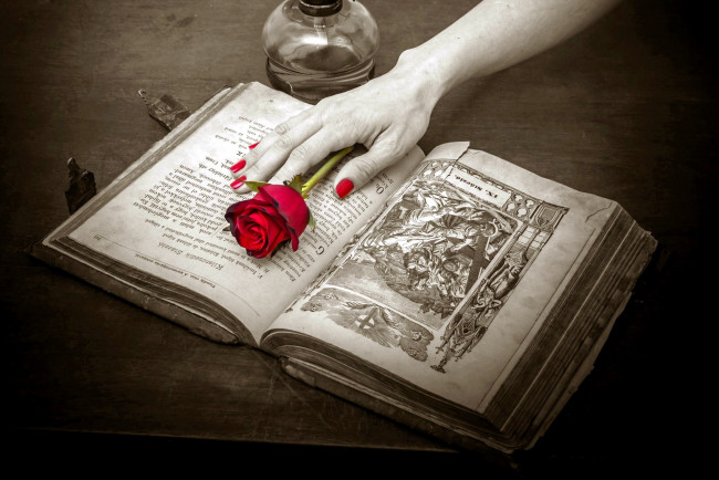 Обои картинки фото разное, руки, роза, книга, лампа