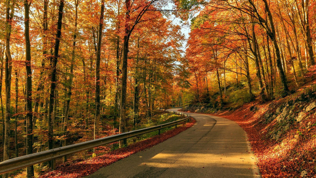 Обои картинки фото природа, дороги, осень, шоссе, дорога, поворот, листья, листопад