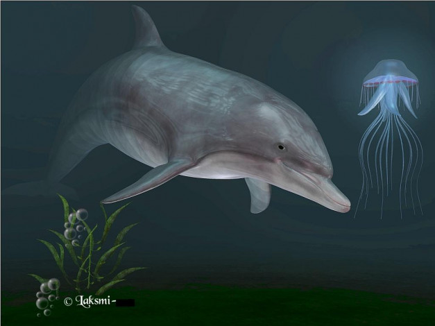 Обои картинки фото рисованные, животные, дельфины