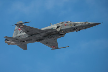 Картинка northrop+f-5+tiger авиация боевые+самолёты истребитель