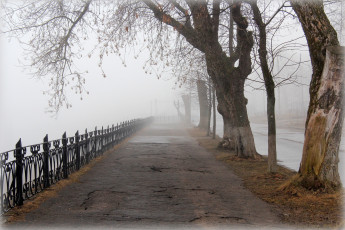 Картинка природа парк туман тверь аллея весна