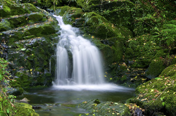 Картинка природа водопады растения водопад