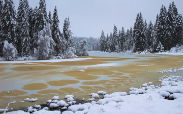 Картинка природа зима река лес