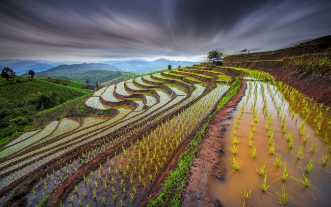 Обои картинки фото природа, поля, таиланд, рисовые, ростки, склоны, вода, небо, выдержка