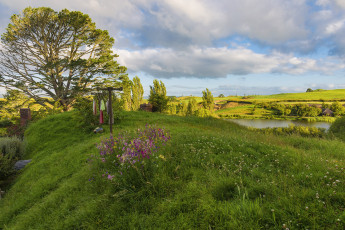 Картинка новая+зеландия природа пейзажи облака растения водоем деревья цветы трава