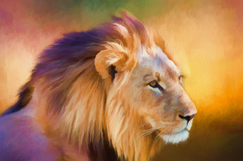 Картинка рисованное животные грива лев взгляд макро
