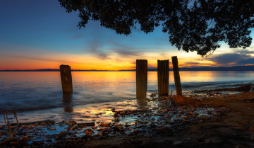 Картинка новая+зеландия природа восходы закаты камни дерево водоем