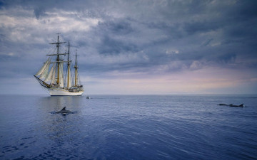Картинка корабли парусники облака дельфины водоем