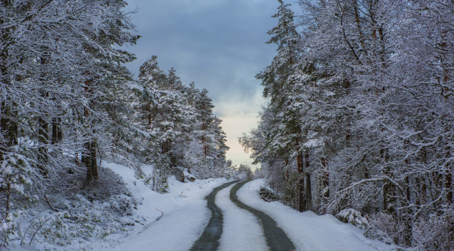 Обои картинки фото норвегия, природа, зима, колея, деревья, снег