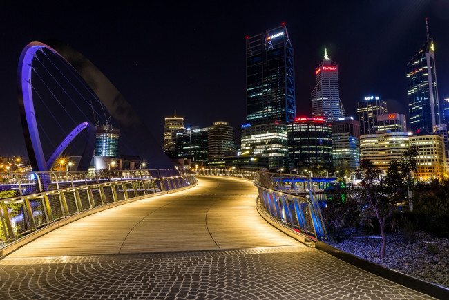 Обои картинки фото австралия, города, - огни ночного города, мост, деревья, здания, ночь, небоскреб, освещение