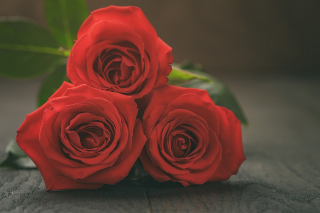 Обои картинки фото цветы, розы, букет, красный, цвет