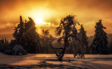 Картинка природа восходы закаты закат зима
