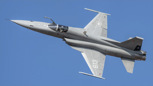 Обои картинки фото авиация, боевые самолёты, f-5, самолёт